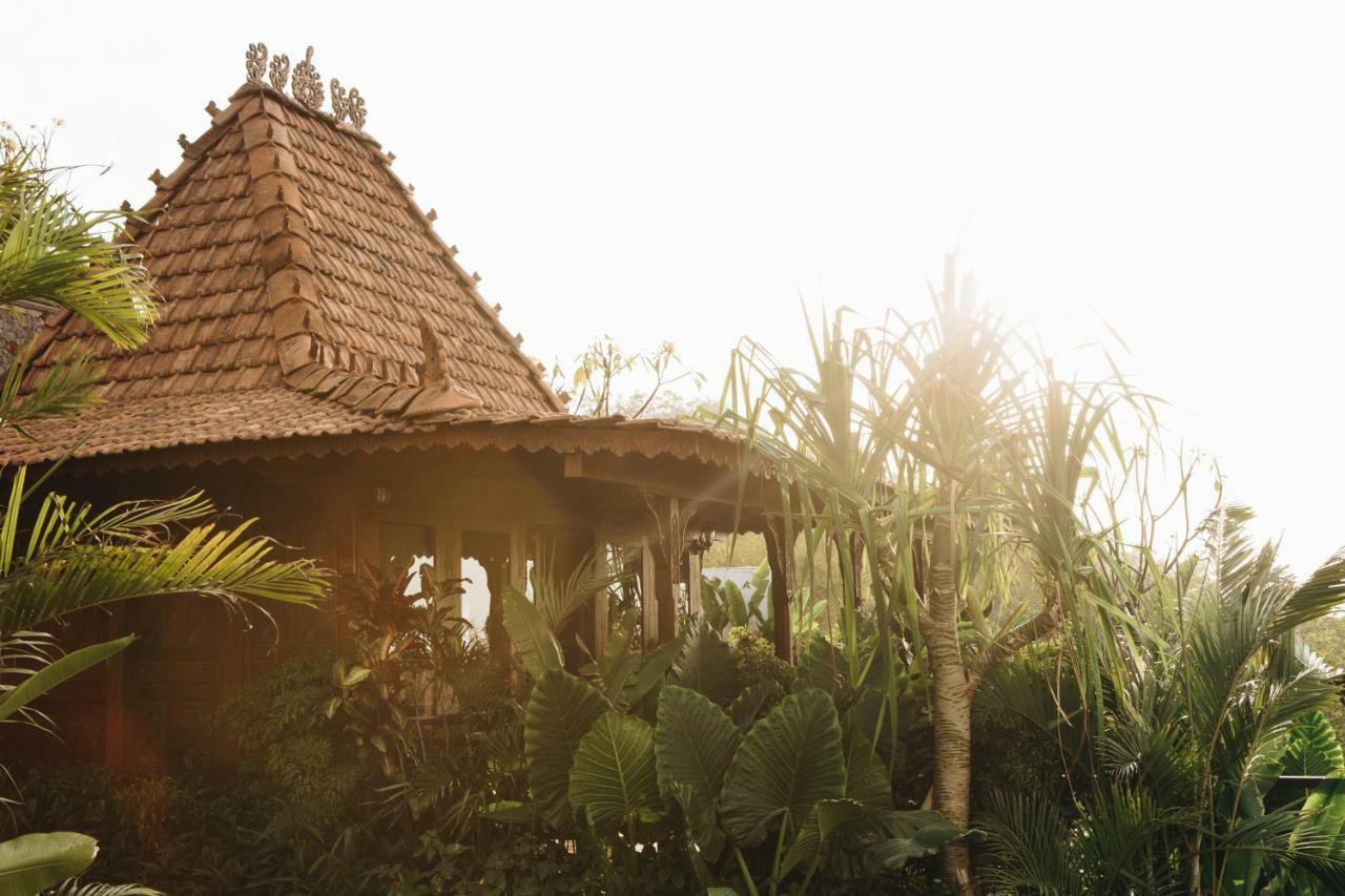 White Tortoise Eco Villa'S Uluwatu Εξωτερικό φωτογραφία
